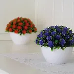Sole Apartment